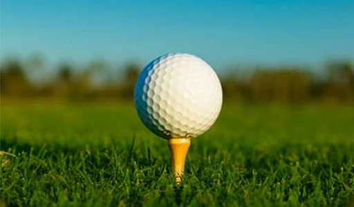 Concha de golf